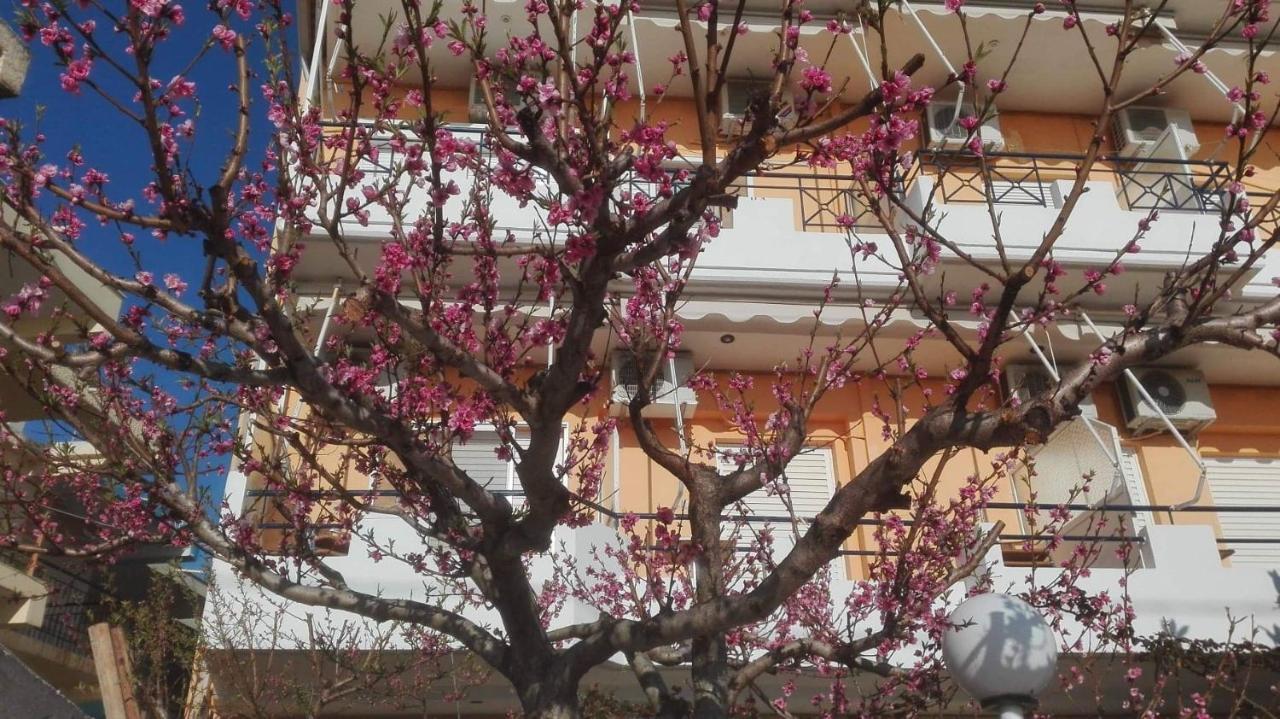Faros Apartments Mytikas (Epirus) Exterior foto